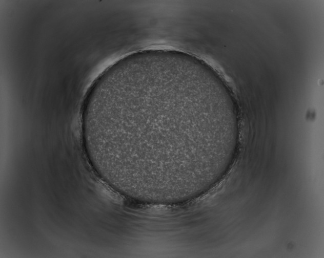 X0000100861167200807181129