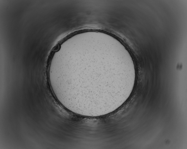 X0000100861168200807181129