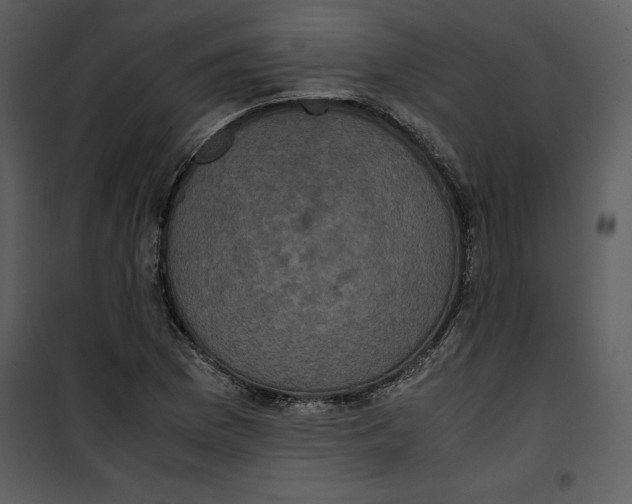 X0000100861169200807181129