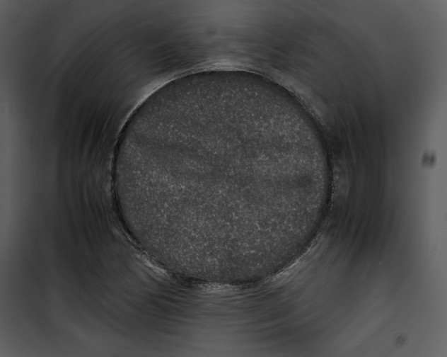 X0000100861170200807181129