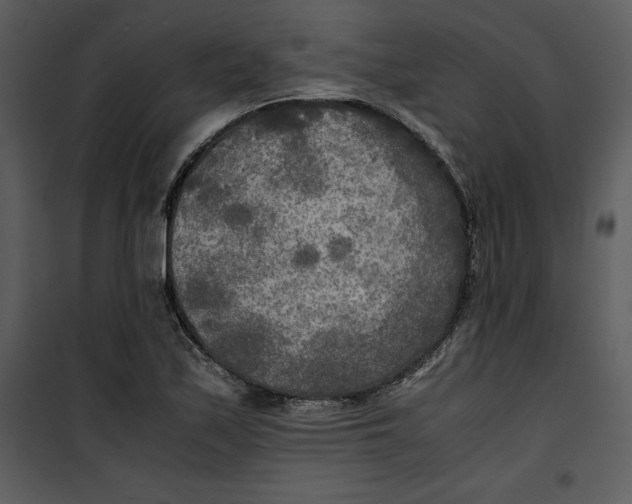 X0000100861171200807181129