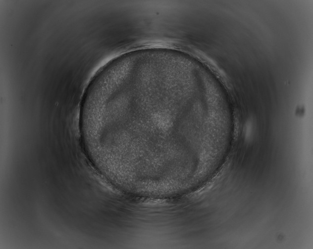 X0000100861174200807181129