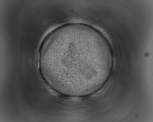 X0000100861175200807181129