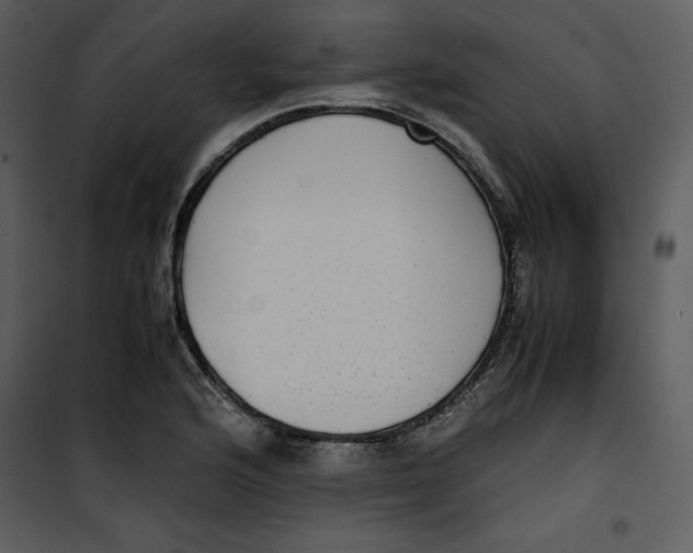 X0000100861176200807181129