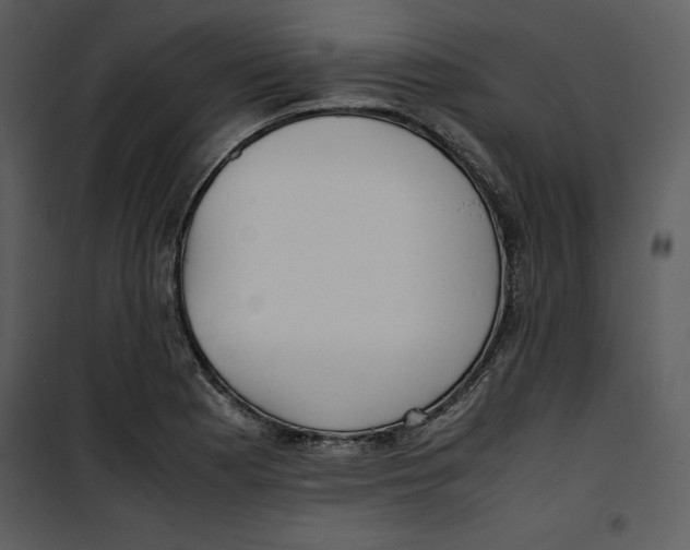 X0000100861177200807181129