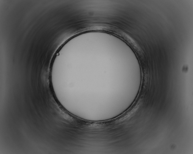 X0000100861178200807181129