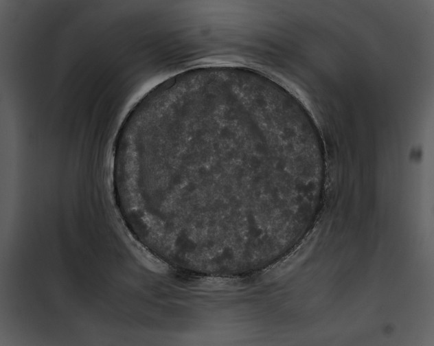 X0000100861179200807181129