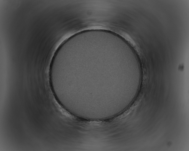 X0000100861181200807181129