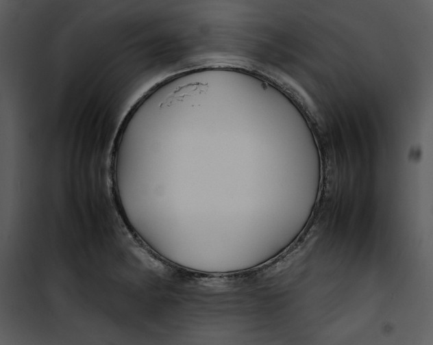 X0000100861182200807181129