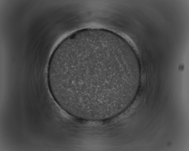 X0000100861183200807181129