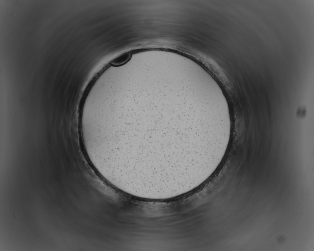 X0000100861184200807181129