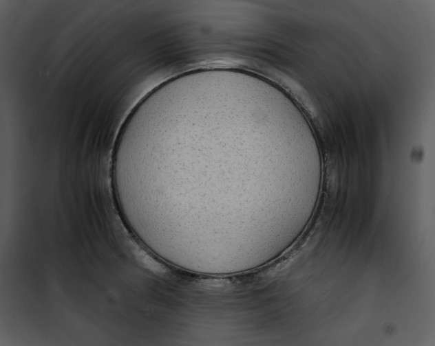 X0000100861186200807181129