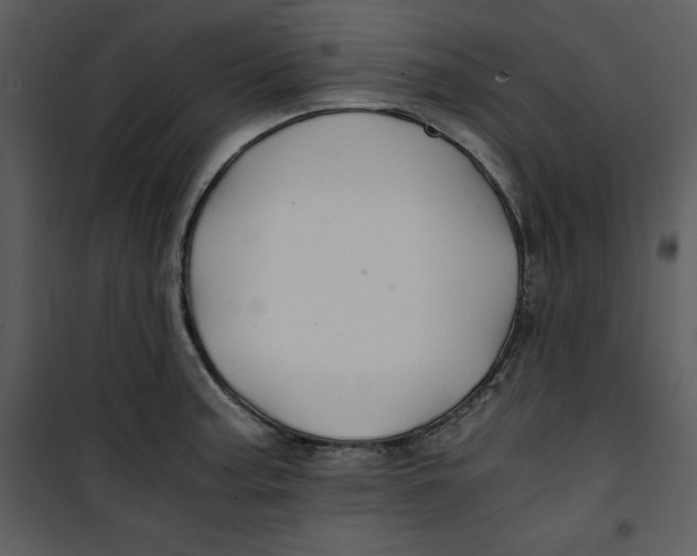 X0000100861187200807181129