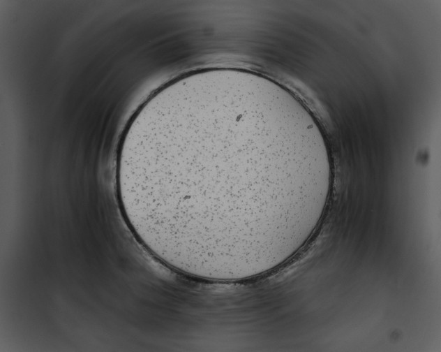 X0000100861188200807181129