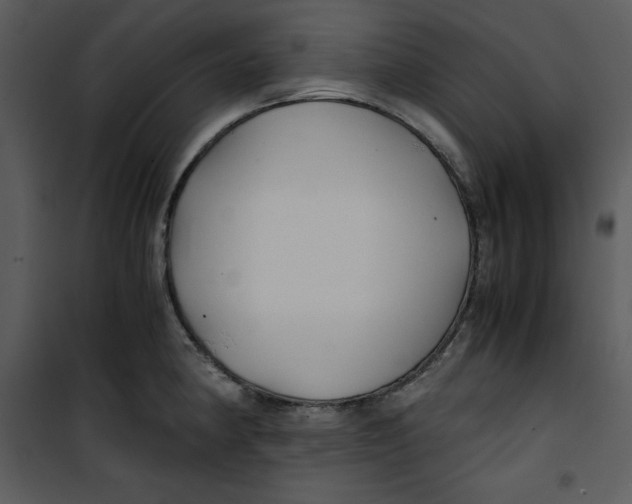 X0000100861190200807181129