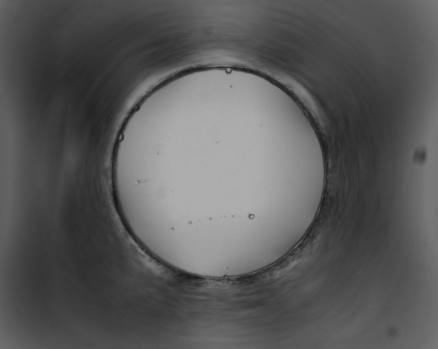 X0000100861191200807181129