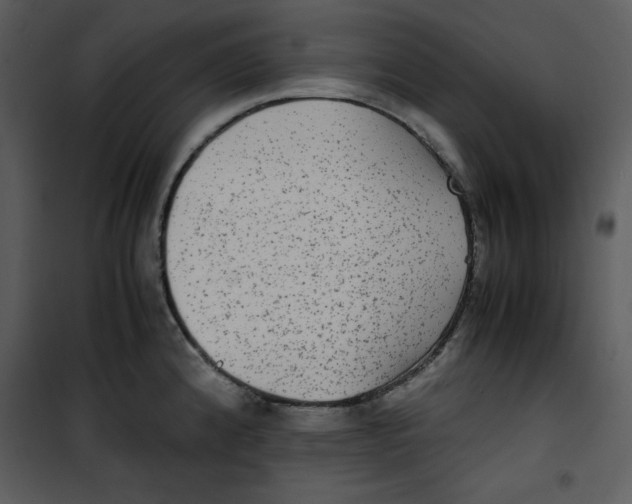 X0000100861192200807181129