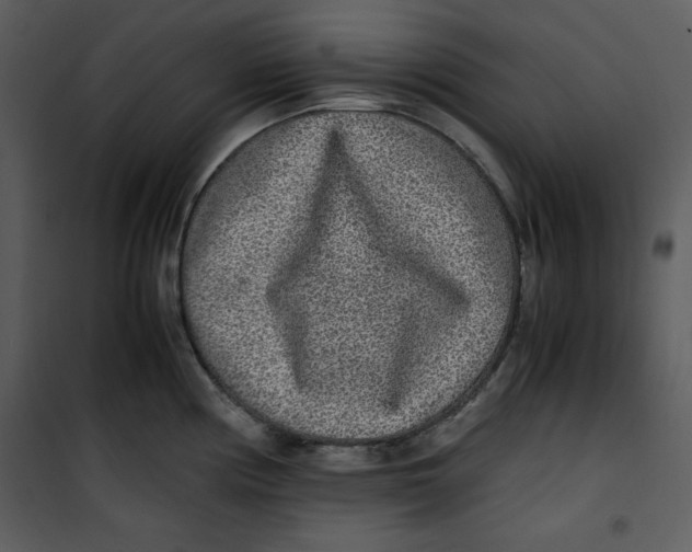 X0000100861194200807181129