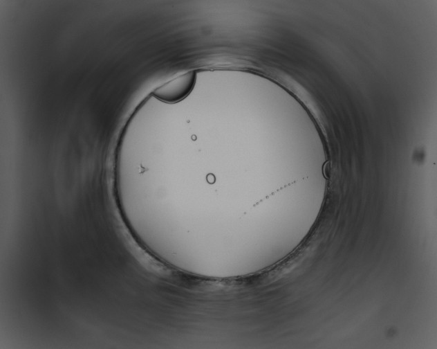 X0000100861195200807181129