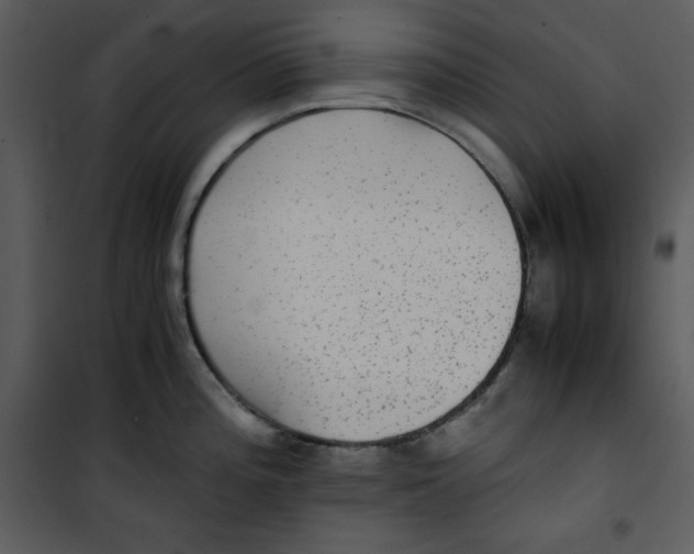 X0000100861196200807181128