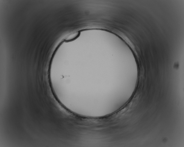 X0000100861197200807181128