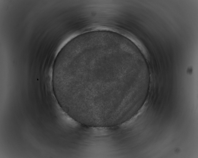 X0000100861198200807181128