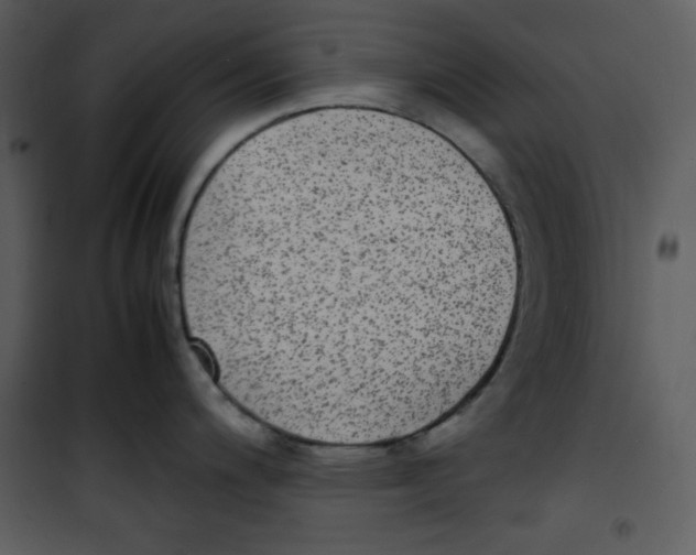 X0000100861200200807181128