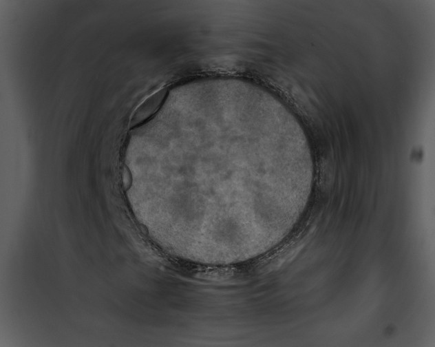 X0000100861201200807181128