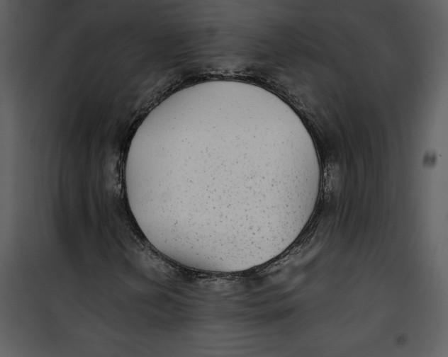 X0000100861202200807181128