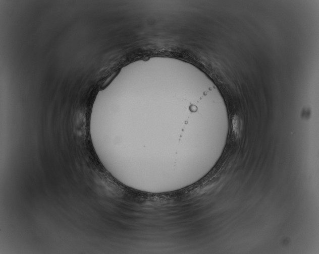 X0000100861203200807181128