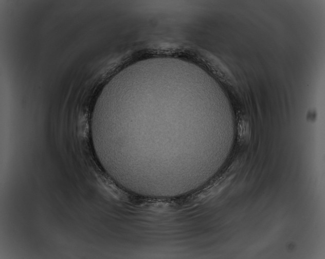 X0000100861204200807181128