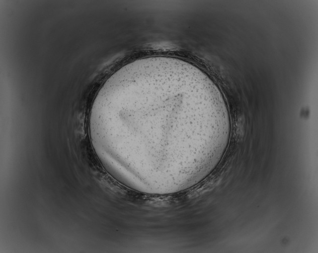 X0000100861205200807181128