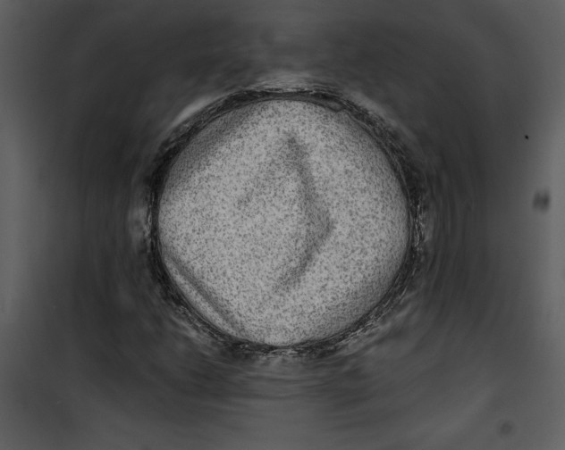 X0000100861206200807181128