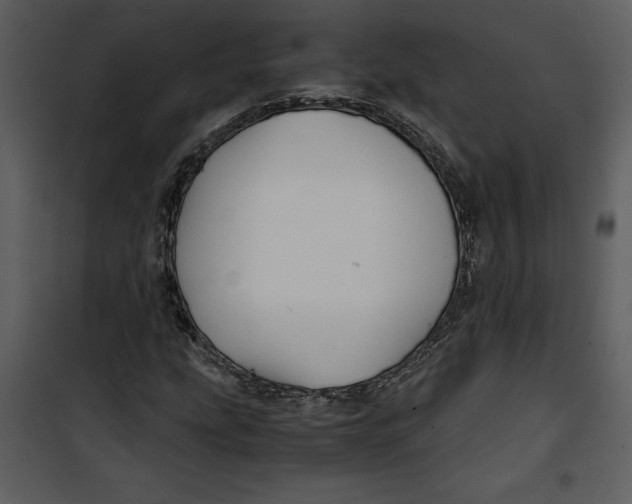 X0000100861207200807181128