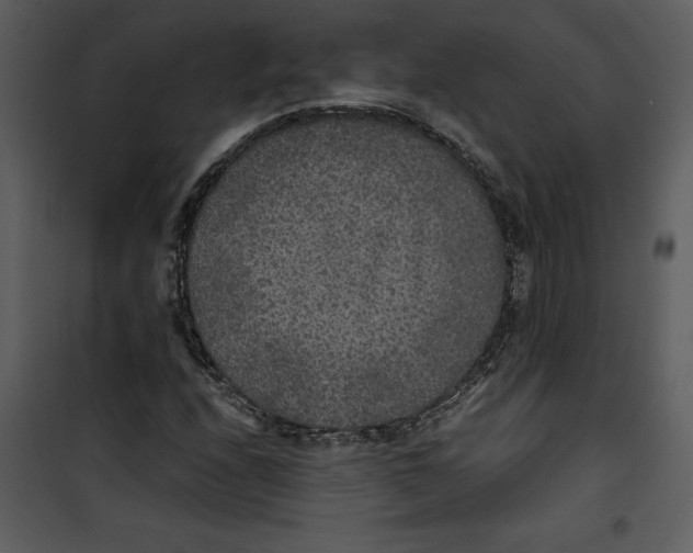 X0000100861208200807181128