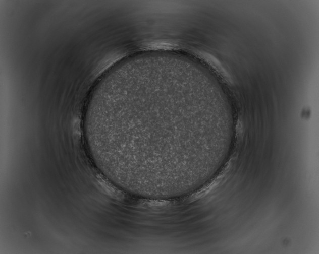 X0000100861209200807181128