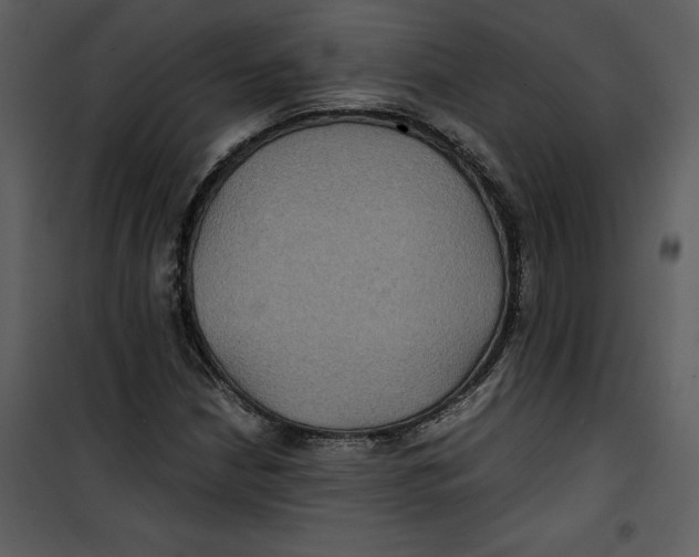 X0000100861210200807181128