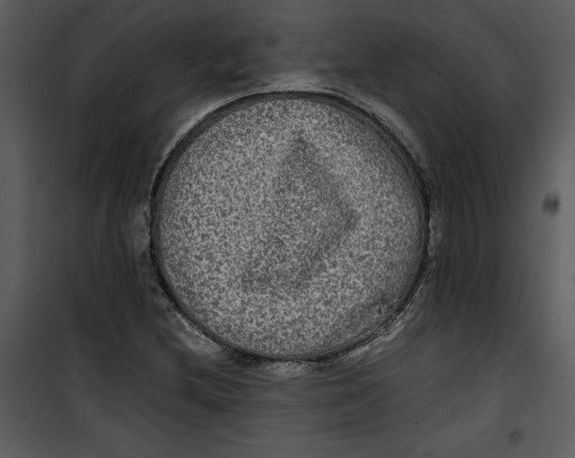 X0000100861212200807181128