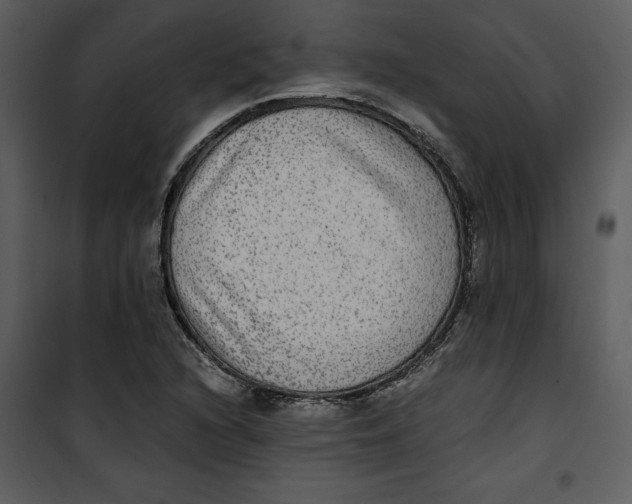 X0000100861216200807181128