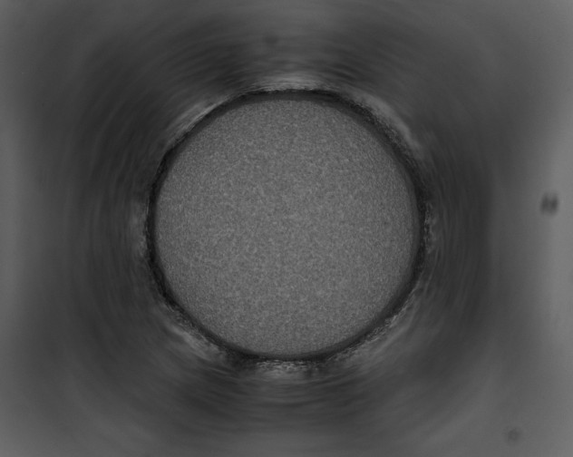 X0000100861217200807181128