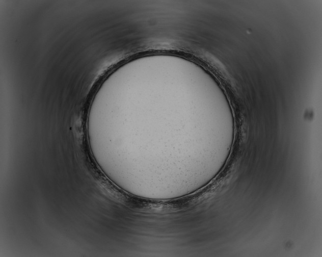 X0000100861218200807181128