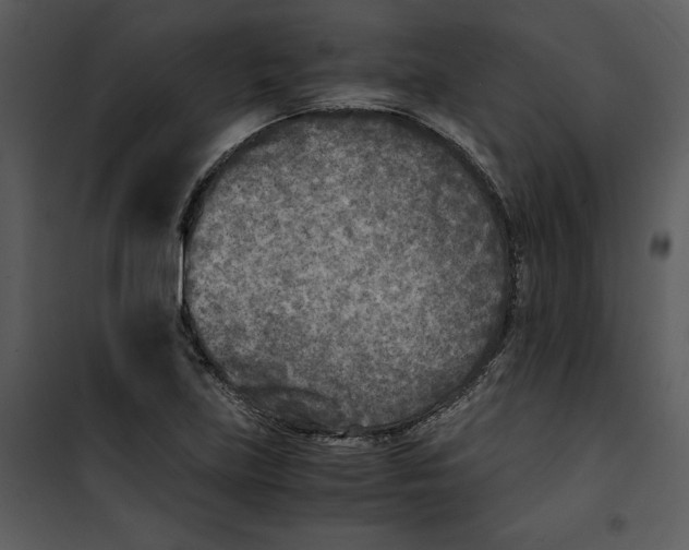 X0000100861219200807181128