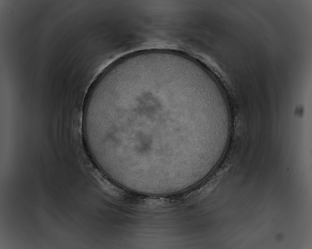 X0000100861220200807181128