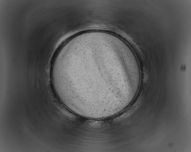 X0000100861222200807181128