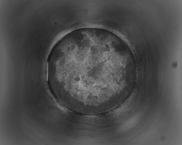 X0000100861223200807181128