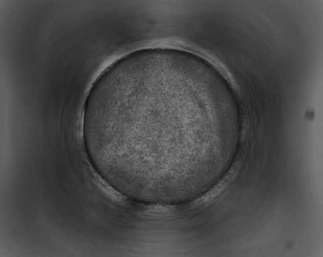 X0000100861224200807181128