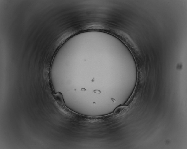 X0000100861225200807181128