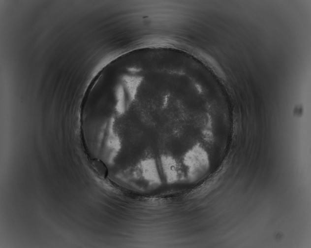 X0000100861226200807181128