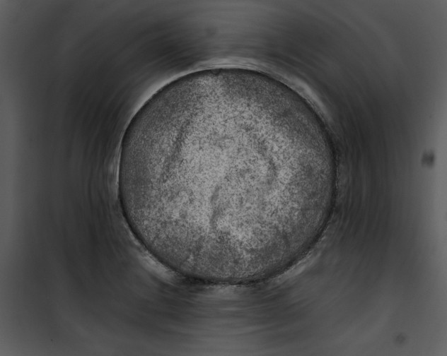 X0000100861228200807181128