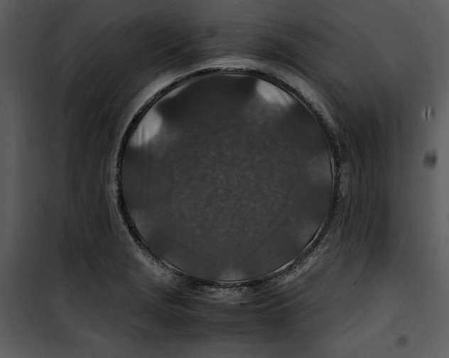 X0000100861229200807181128